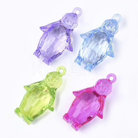 Transparent Acrylic Pendants TACR-S149-03-1