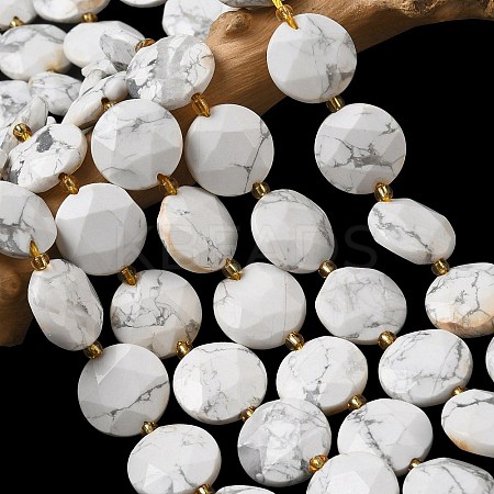 Natural Howlite Beads Strands G-A292-A03-01-1