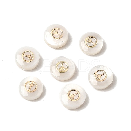 Natural Freshwater Shell Flat Round Beads SHEL-C009-01D-1