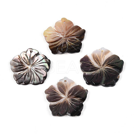 Natural Black Lip Shell Carved Pendants SHEL-T020-21-1