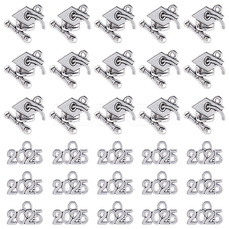2 Styles Tibetan style Alloy Pendants PALLOY-SC0012-66-1