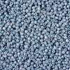 TOHO Round Seed Beads SEED-JPTR11-1205-2