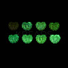 UV Plating Luminous Opaque Acrylic Beads TACR-T017-91M-3