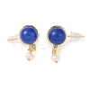Natural Agate Dangle Earrings EJEW-L286-02G-1