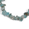 Unisex Chip Natural Apatite Beaded Stretch Bracelets BJEW-S143-54-3