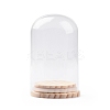 Glass Dome Cover DJEW-E009-01-1