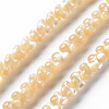 Natural Trochid Shell/Trochus Shell Bead Strands SSHEL-N034-104-A01-1