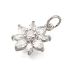 Rack Plating Brass Micro Pave Cubic Zirconia Pendants KK-I716-01P-02-2