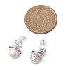 Natural Pearl Ear Studs EJEW-P286-25P-3