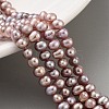Natural Cultured Freshwater Pearl Beads Strands PEAR-C003-10E-1