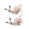 Snail Natural Conch Shell Fossil Brooch Pin JEWB-A020-01G-03-1