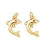 Brass Micro Pave Cubic Zirconia Charms KK-F927-13A-01G-1