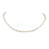 Natural Cultured Freshwater Pearl Beaded Necklaces NJEW-JN05058-1