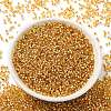 Glass Seed Beads SEED-S042-04B-12-2
