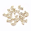 Tibetan Style Alloy Pendants GLF10650Y-2