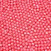 Baking Paint Glass Seed Beads SEED-C004-01N-2