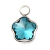 304 Stainless Steel Pendants STAS-Q346-02P-03-1