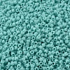 MIYUKI Delica Beads SEED-X0054-DB1136-3