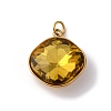 316 Stainless Steel Faceted Glass Pendants STAS-K258-47G-04-1
