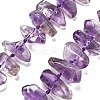 Natural Amethyst Beads Strands G-C179-D01-02-1