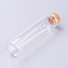 Glass Bottles LS-AJEW-H102-06D-2