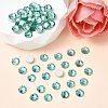 Preciosa® MAXIMA Crystal No Hotfix Flatback Stones Y-PRC-NSS10-50005-2