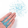 11/0 FGB Grade A Transparent Glass Seed Beads X-SEED-N001-E-314-4