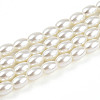 Baking Paint Pearlized Glass Pearl Bead Strands HY-T002-01B-02-3