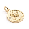 Brass Micro Pave Cubic Zirconia Pendants ZIRC-E164-34C-G-1