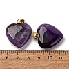 Natural Amethyst Pendants G-G287-01G-10-3