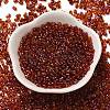 Spray Painted Glass Seed Beads SEED-F005-05A-05-2