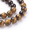 Natural Tiger Eye Beads Strands G-G099-10mm-5-3