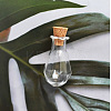 Clear Glass Cork Bottles Ornament X-PW-WG89753-01-1