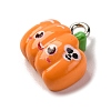 Halloween Theme Opaque Resin Charms RESI-D075-01L-2