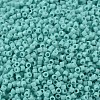 MIYUKI Delica Beads SEED-MY11-DB1136-1