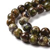 Natural Gemstone Beads Strands G-C238-02A-4