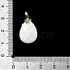 Natural Howlite Faceted Teardrop Pendants KK-D021-03A-G-3