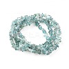 Natural Apatite Beads Strands G-F666-01B-01-2