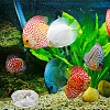 8Pcs 2 Style Transparent Acrylic Aquarium Shrimp Feeding Dishes AJEW-GO0001-01-5