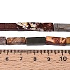 Natural Picasso Jasper/Polychrome Jasper Beads Strands G-T141-104-5