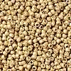 TOHO Round Seed Beads X-SEED-TR08-PF0557F-2