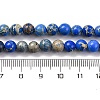 Dyed Natural Regalite/Imperial Jasper/Sea Sediment Jasper Beads Strands G-B124-C02-01-3