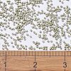 MIYUKI Delica Beads SEED-JP0008-DB1181-4