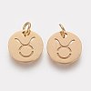 304 Stainless Steel Charms STAS-Q201-T445-2G-2