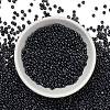 FGB 8/0 Grade A Round Glass Seed Beads SEED-Q008-3mm-F607-5