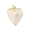 Brass Pave Natural Shell Pendants KK-L239-049G-01-1
