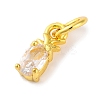Rack Plating Brass Micro Pave Cubic Zirconia Charms KK-F881-03G-04-2