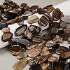 Natural Petrified Wood Beads Strands G-C253-06-1