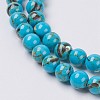 Sea Shell and Synthetic Turquoise Assembled Beads Strands X-G-G758-04-10mm-3