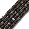 Natural Biotite Beads Strands G-L624-I12-2x4mm-2